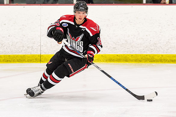 Wings Win NAHL Central Division For Second Straight Season!