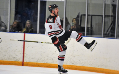 Wings Take 1-0 Series Lead with 2-1 Win Friday!