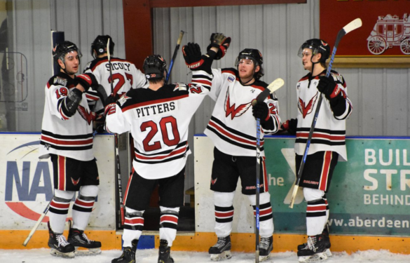Wings Quick Start Leads To 6-2 Win and 2-0 Series Lead!