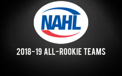 Pokorny & Brandon Earn NAHL Honors!