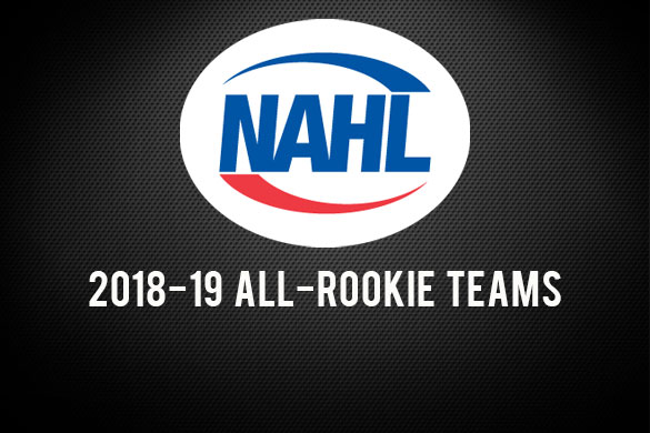 Pokorny & Brandon Earn NAHL Honors!