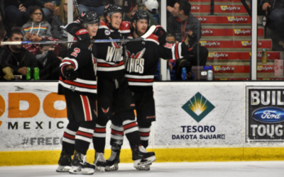 Wings Win Game 3, 7-2!