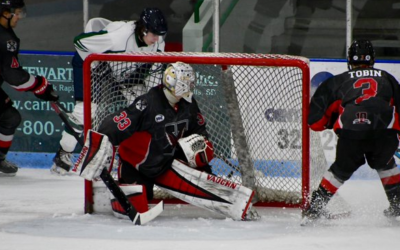 Wings Sweep Weekend Again!