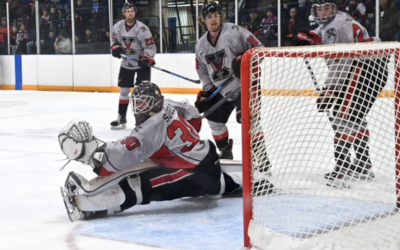 Wings Use Power Play To Melt Blizzard!