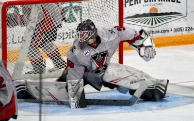 Wings Hold On For Weekend Sweep!