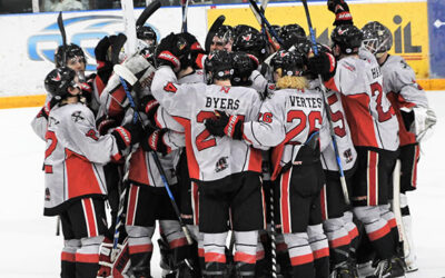 Wings Clinch Playoff Spot With Weekend Sweep!