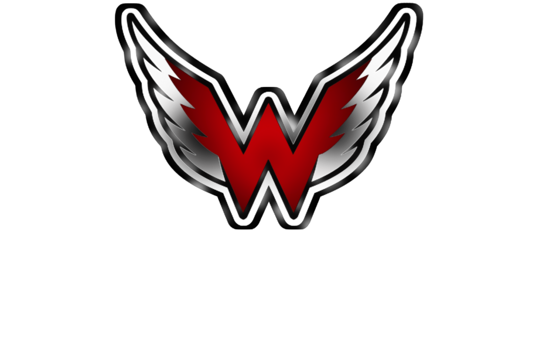 2019-20 Wings season highlights