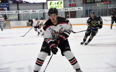 Wings offense explodes for 9-1 exhibition win over Bismarck