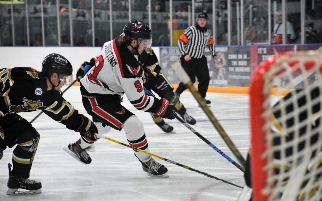 Wings sweep Bismarck with 3-0 win Saturday