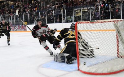 Wings stay perfect with 8-3 win over Bismarck