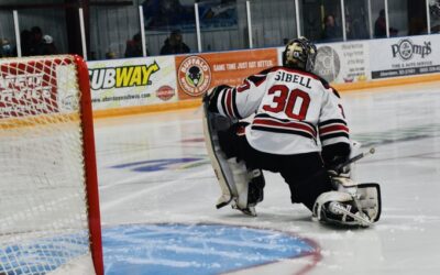 Wings shutout Bruins Friday