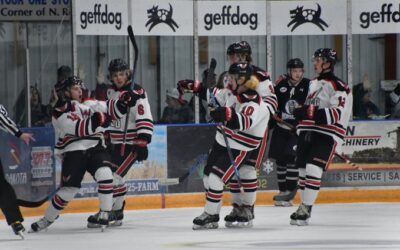Wings win Friday’s home opener 4-1