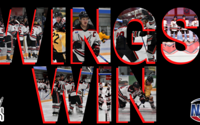 Wings get fifth straight in 4-1 win over St. Cloud