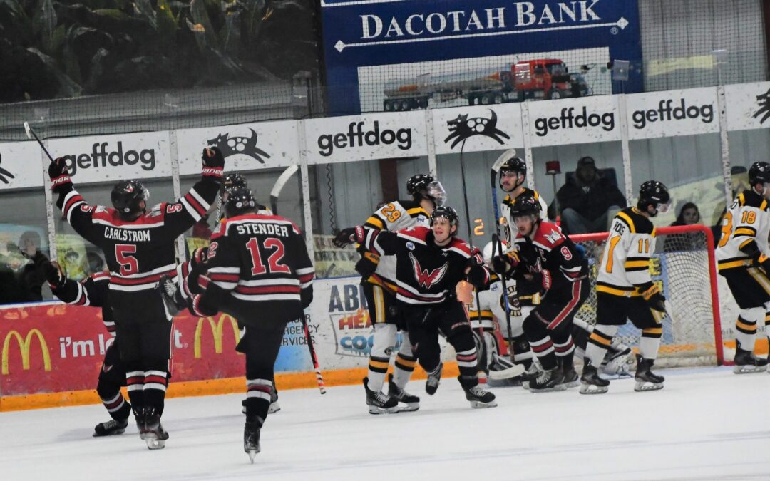 Big third period gives Wings win over Austin