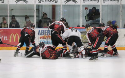 Wings’ winning streak snapped with season’s first loss