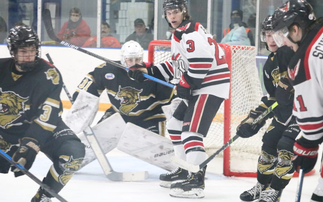 Wings sweep Bismarck with 3-1 win Saturday