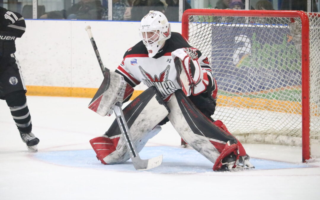 Wings sweep St. Cloud with 4-0 win Saturday