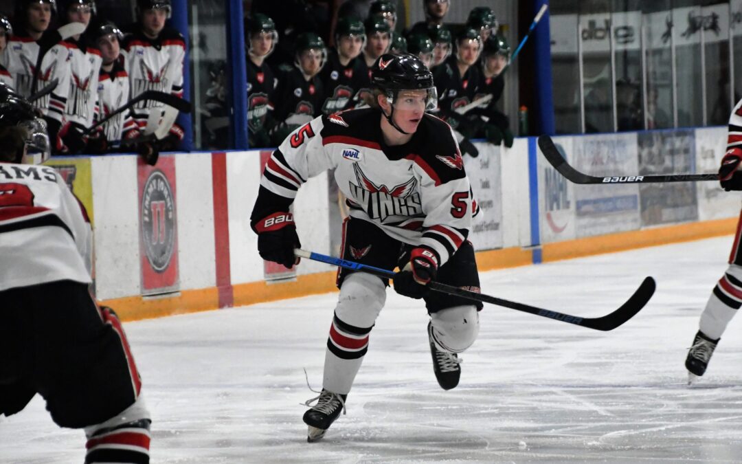 Wings fall 3-2 in shootout