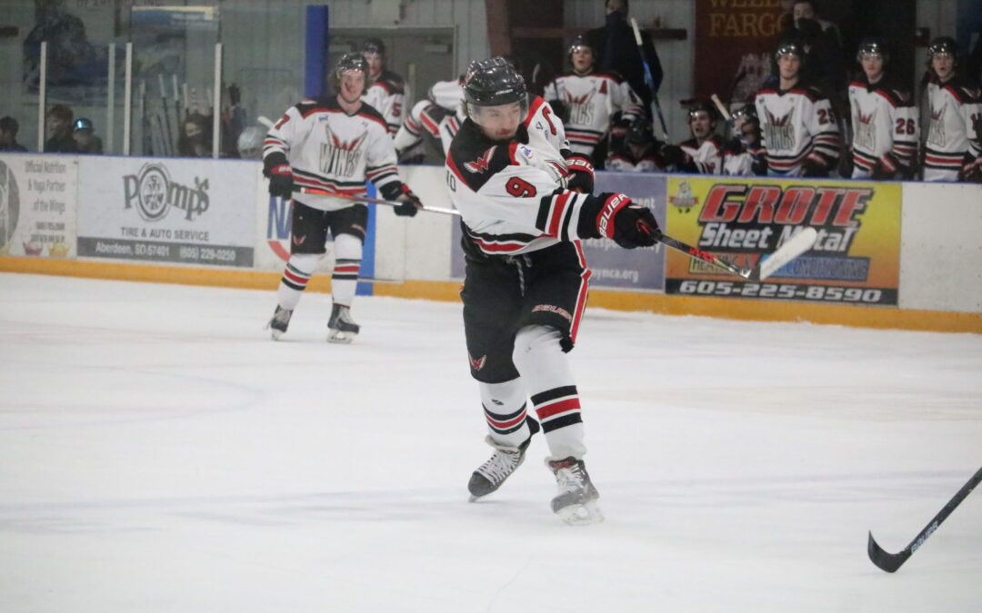 Wings begin road game stretch this weekend