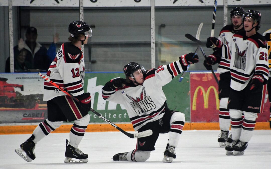 Wings down Austin 6-1 Friday night