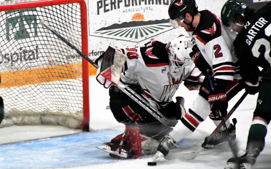 Wings sweep Wilderness with 3-0 Saturday win