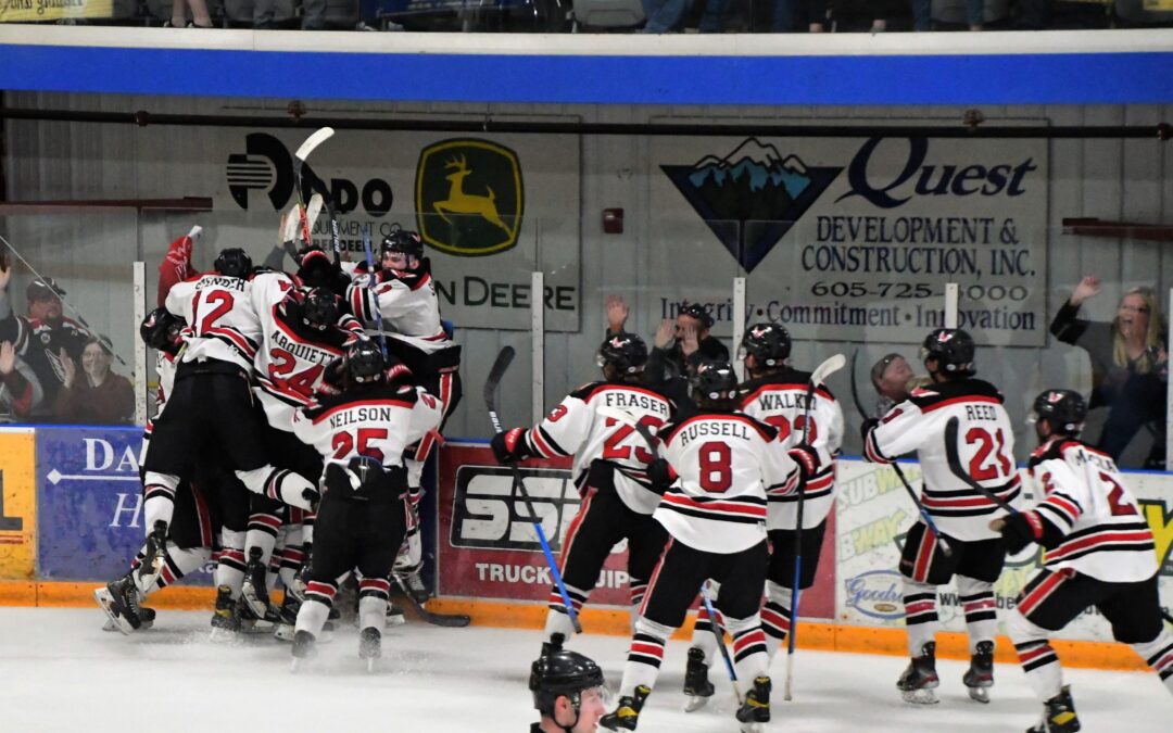 Thrilling OT win sends Wings to Central Division Finals