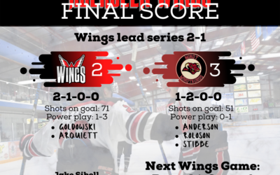 Wings fall 3-2 in double overtime, lead series 2-1