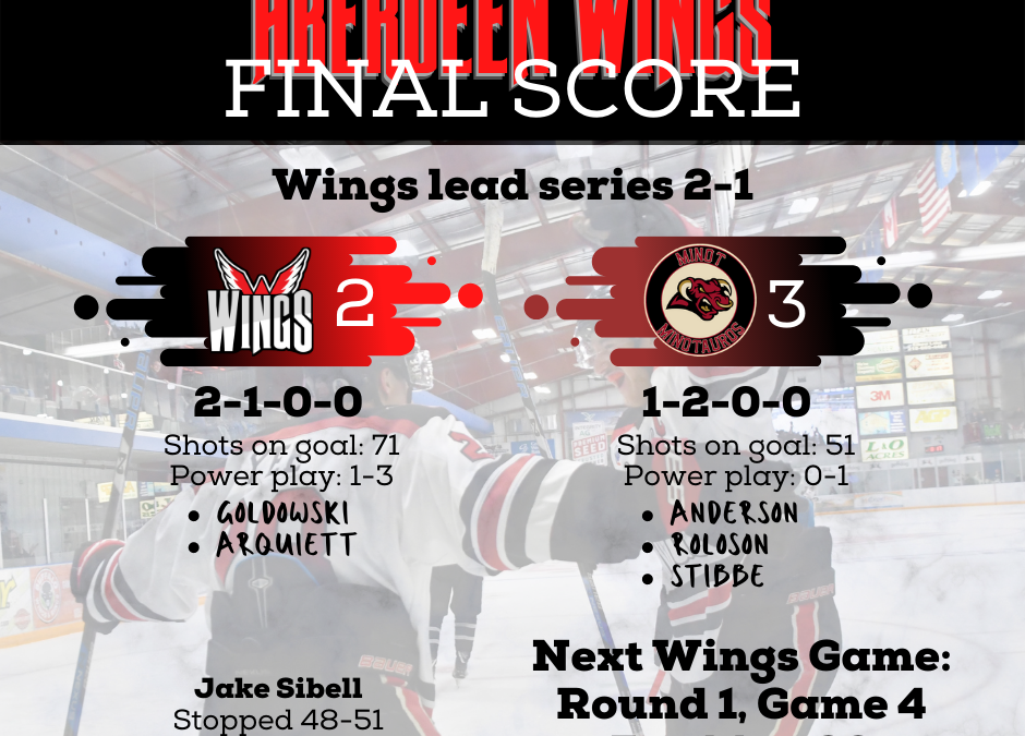 Wings fall 3-2 in double overtime, lead series 2-1