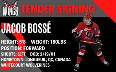 Wings sign tender Jacob Bossé!