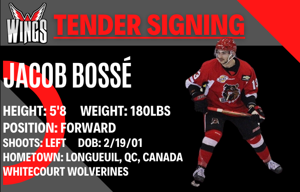 Wings sign tender Jacob Bossé!