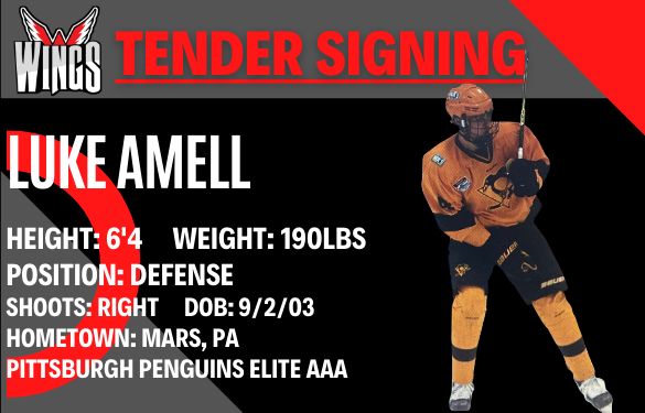 Wings sign tender Luke Amell