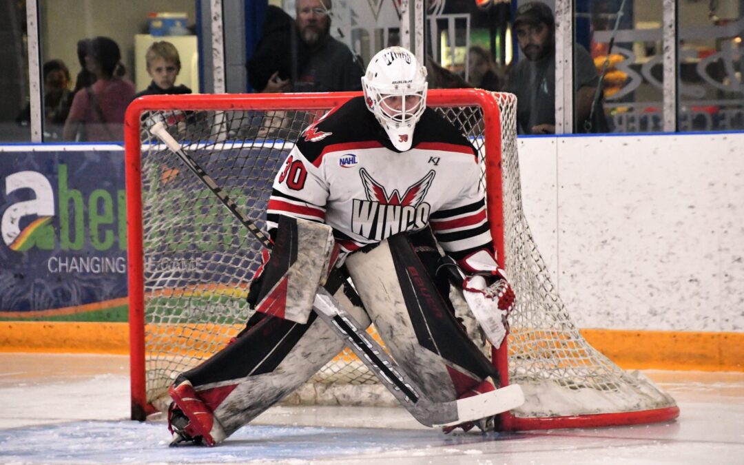 Wings grab 5-3 win in division finals