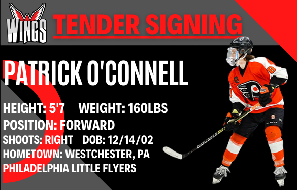 Wings sign tender Patrick O’Connell