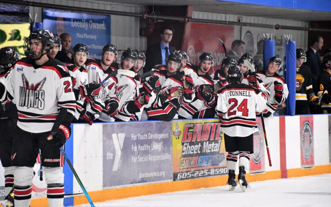 Wings fall 3-1 Friday night