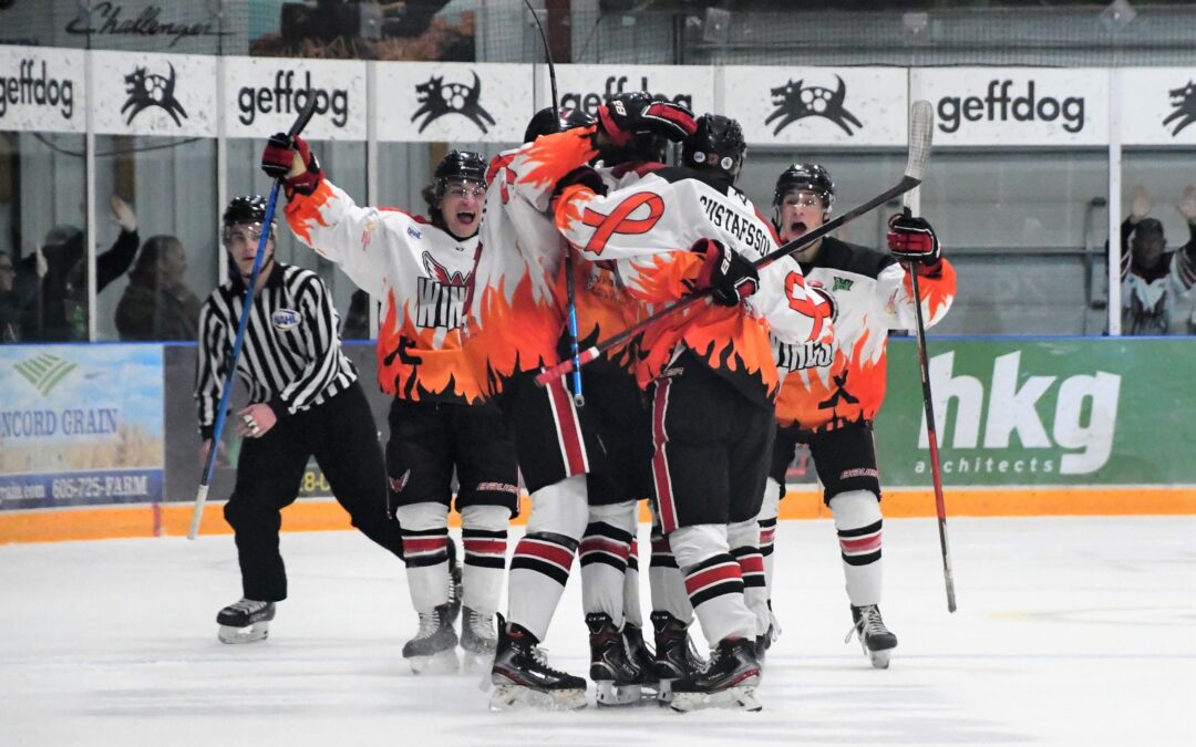 Wings wrangle Bulls 5-2 Friday