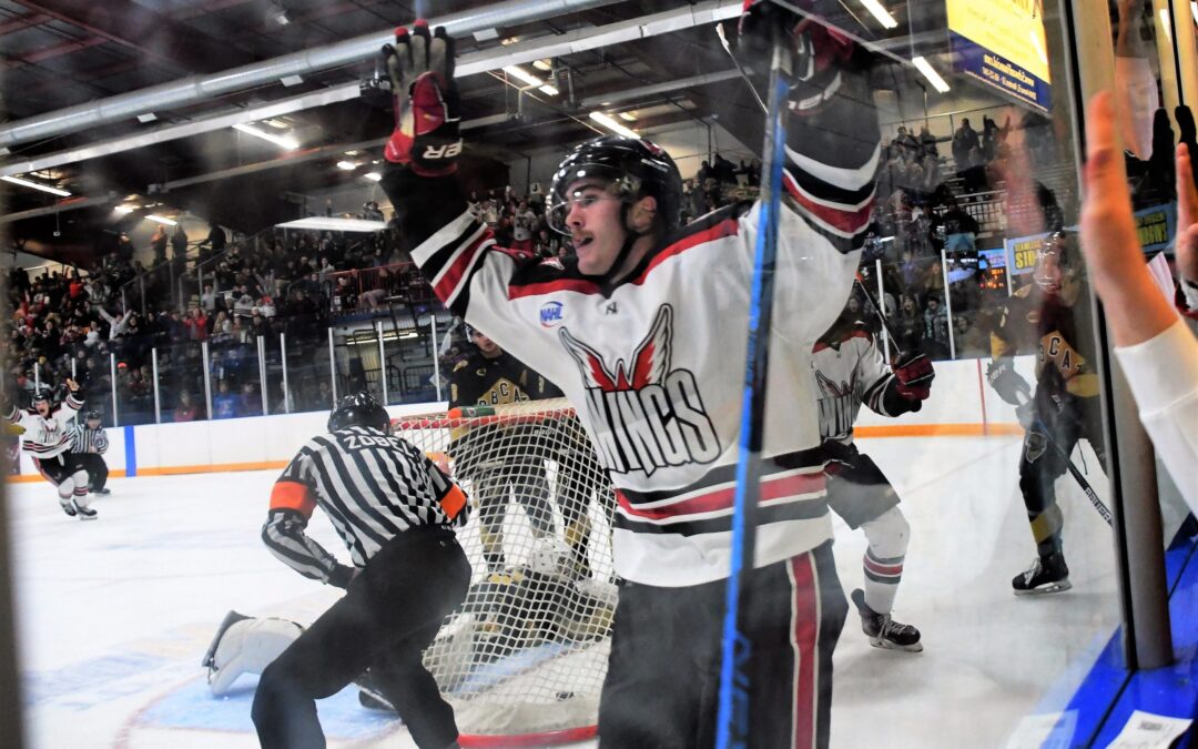 Wings earn 3 of 4 points after weekend split