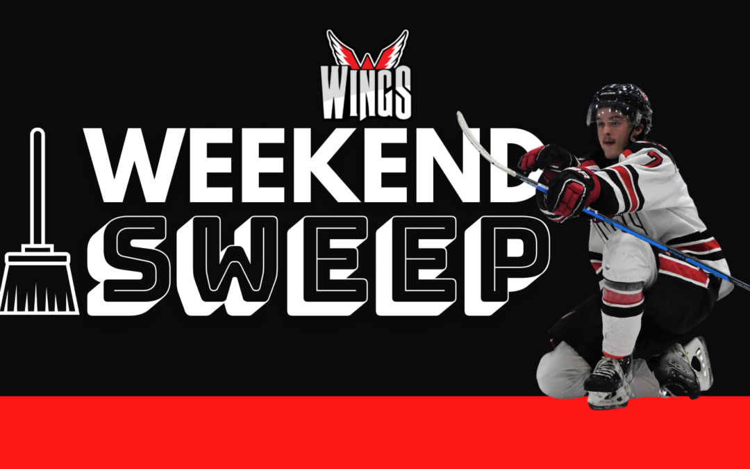 Wings sweep Bruins with 5-0 shutout Saturday