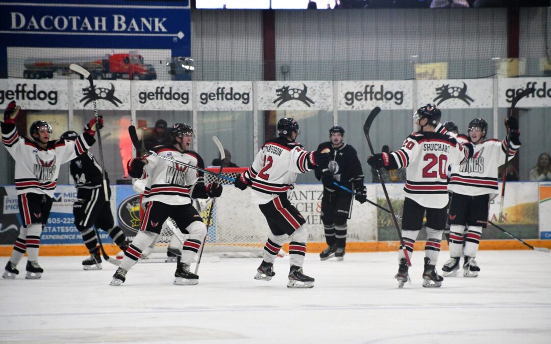 Wings finish 2021 with 5-3 win over St. Cloud