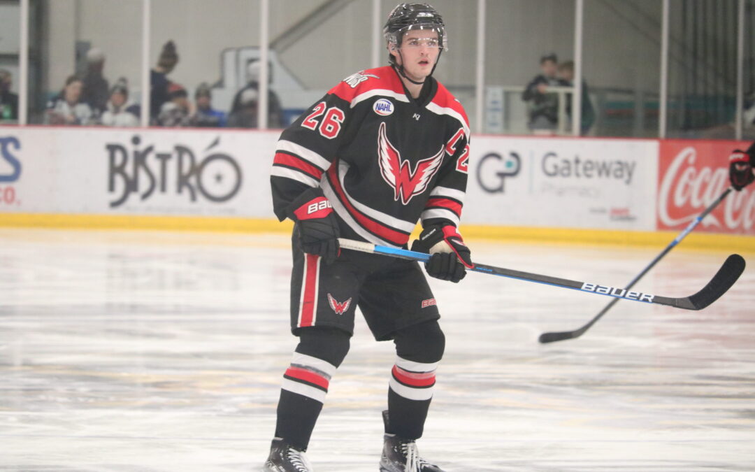 Wings fight back but fall in OT Friday