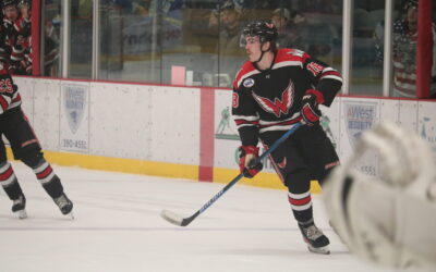 Two empty-net goals down Wings