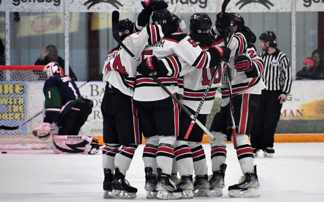 Wings complete weekend sweep with 4-3 Saturday win