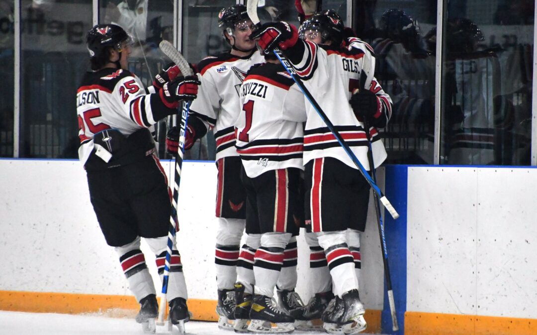 Wings move into second with 2-1 Friday win