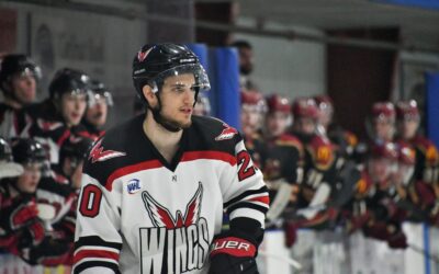 Wings fall in heartbreaking fashion Saturday night