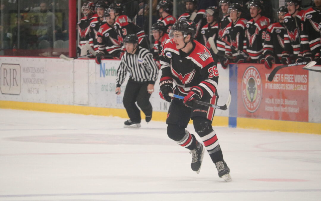 Wings split weekend with 3-1 loss Saturday