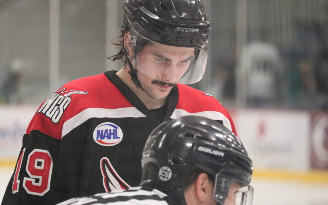 Wings split against top-rated St. Cloud