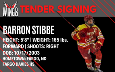 Wings sign Barron Stibbe to tender