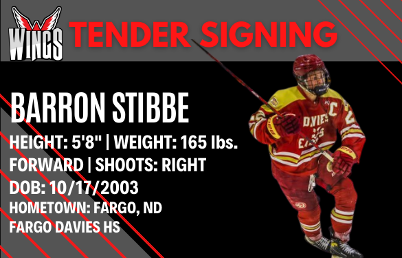 Wings sign Barron Stibbe to tender
