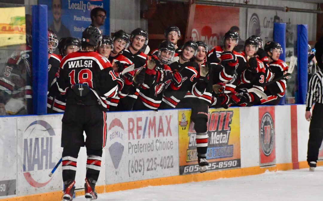 Wings snap Bismarck win streak with 4-1 Friday victory