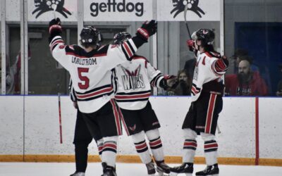 Wings win in regular season finale