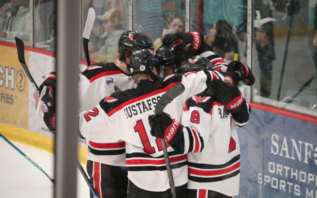 Wings split weekend after Saturday loss